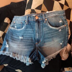 STS Blue Women's Layne Jean Shorts Size 29 NWT Distressed